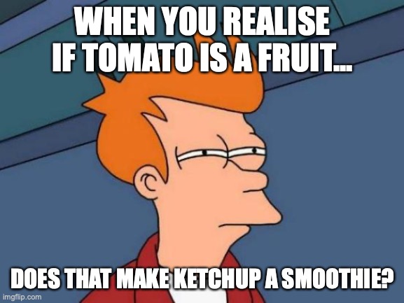 I mean, it technically is... | WHEN YOU REALISE
IF TOMATO IS A FRUIT... DOES THAT MAKE KETCHUP A SMOOTHIE? | image tagged in memes,futurama fry | made w/ Imgflip meme maker