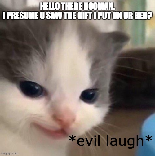 MWAHAHAHAMEOW! | HELLO THERE HOOMAN.
I PRESUME U SAW THE GIFT I PUT ON UR BED? *evil laugh* | image tagged in evil cat,hilarious,funny memes,meme,cats,cute | made w/ Imgflip meme maker
