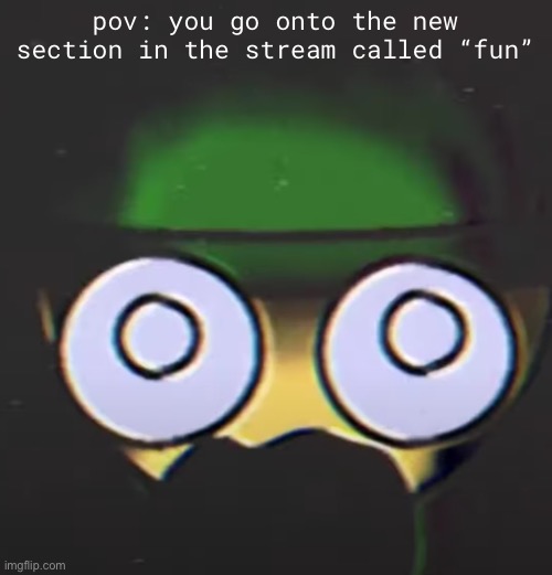 what the heck | pov: you go onto the new section in the stream called “fun” | made w/ Imgflip meme maker