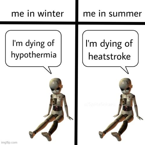 image tagged in memes | made w/ Imgflip meme maker