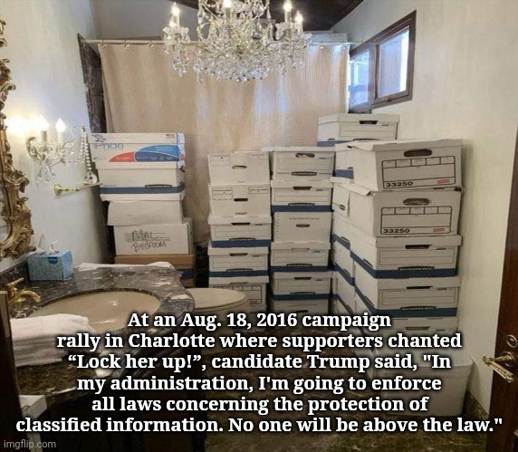 Accountability | At an Aug. 18, 2016 campaign rally in Charlotte where supporters chanted “Lock her up!”, candidate Trump said, "In my administration, I'm going to enforce all laws concerning the protection of classified information. No one will be above the law." | image tagged in trump presidential library,dump trump,not my president,justice | made w/ Imgflip meme maker