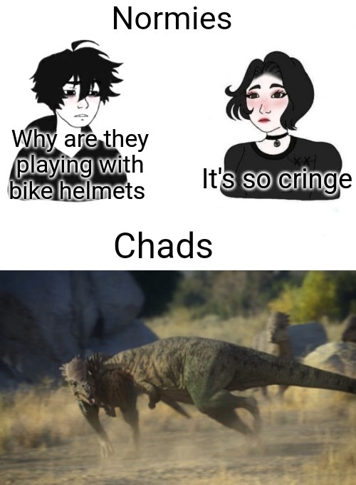 Chads vs normies | Why are they playing with bike helmets It's so cringe | image tagged in chads vs normies | made w/ Imgflip meme maker