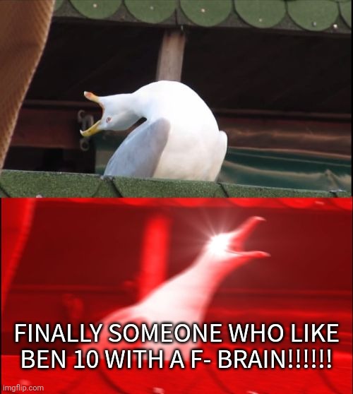 screaming seagull | FINALLY SOMEONE WHO LIKE BEN 10 WITH A F- BRAIN!!!!!! | image tagged in screaming seagull | made w/ Imgflip meme maker