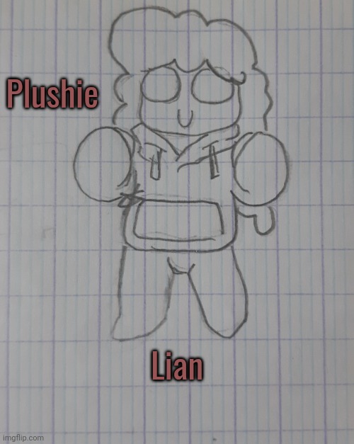 Plushie Lian | Plushie; Lian | image tagged in plushie lian | made w/ Imgflip meme maker