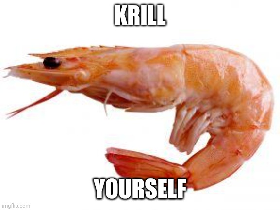 Shrimply | KRILL YOURSELF | image tagged in shrimply | made w/ Imgflip meme maker