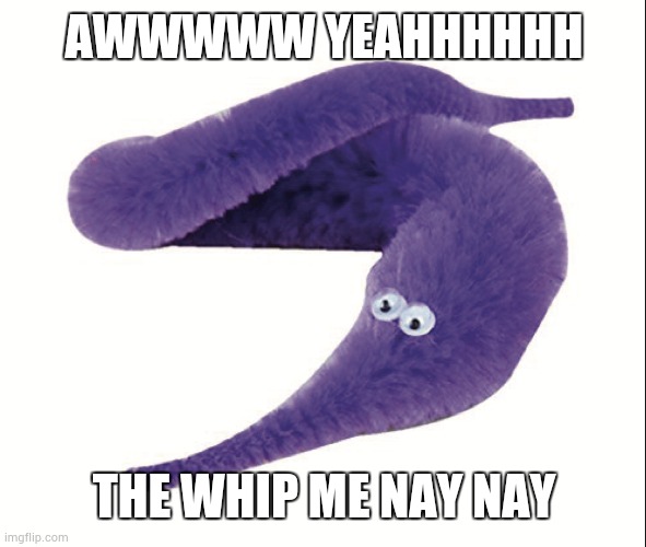 idk | AWWWWW YEAHHHHHH; THE WHIP ME NAY NAY | image tagged in worm on a string | made w/ Imgflip meme maker