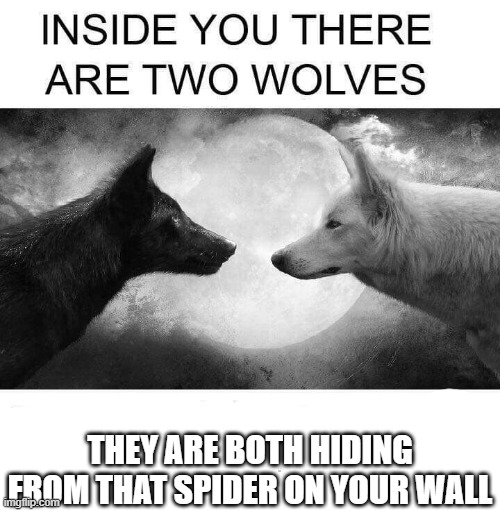Inside you there are two wolves | THEY ARE BOTH HIDING FROM THAT SPIDER ON YOUR WALL | image tagged in inside you there are two wolves | made w/ Imgflip meme maker