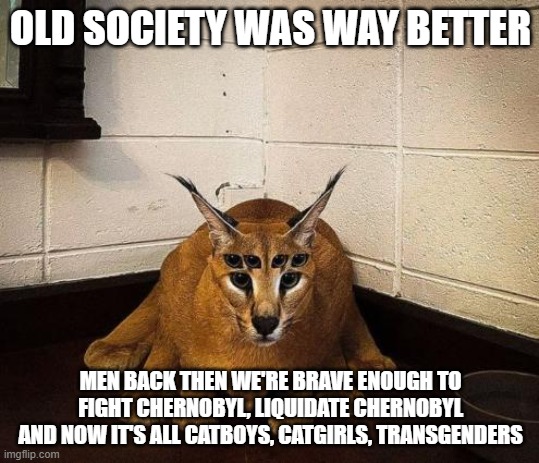bibically accurate floppa | OLD SOCIETY WAS WAY BETTER; MEN BACK THEN WE'RE BRAVE ENOUGH TO FIGHT CHERNOBYL, LIQUIDATE CHERNOBYL AND NOW IT'S ALL CATBOYS, CATGIRLS, TRANSGENDERS | image tagged in bibically accurate floppa | made w/ Imgflip meme maker