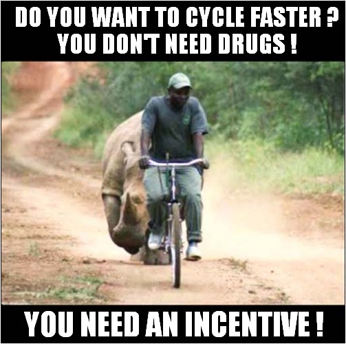 It's Behind You ! | DO YOU WANT TO CYCLE FASTER ?
YOU DON'T NEED DRUGS ! YOU NEED AN INCENTIVE ! | image tagged in cyclist,rhino,motivational,drugs,incentive | made w/ Imgflip meme maker