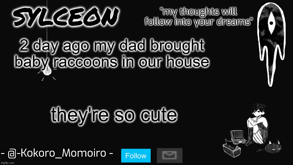 blackspace. | 2 day ago my dad brought baby raccoons in our house; they're so cute | image tagged in blackspace | made w/ Imgflip meme maker