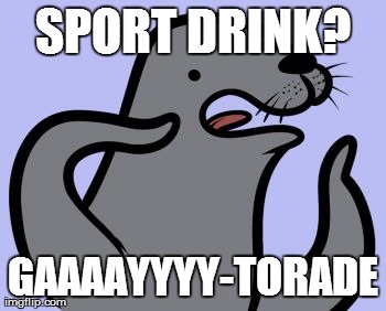 Homophobic Seal Meme | SPORT DRINK? GAAAAYYYY-TORADE | image tagged in memes,homophobic seal | made w/ Imgflip meme maker
