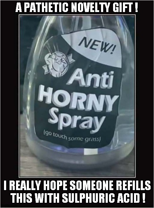 Liven Things Up ! | A PATHETIC NOVELTY GIFT ! I REALLY HOPE SOMEONE REFILLS
 THIS WITH SULPHURIC ACID ! | image tagged in horny,spray,sulphuric acid,dark humour | made w/ Imgflip meme maker