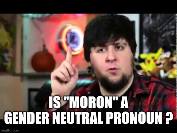 JonTron I have several questions | IS "MORON" A GENDER NEUTRAL PRONOUN ? | image tagged in jontron i have several questions | made w/ Imgflip meme maker