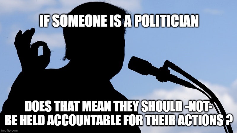 IF SOMEONE IS A POLITICIAN; DOES THAT MEAN THEY SHOULD -NOT- BE HELD ACCOUNTABLE FOR THEIR ACTIONS ? | image tagged in politician,law | made w/ Imgflip meme maker
