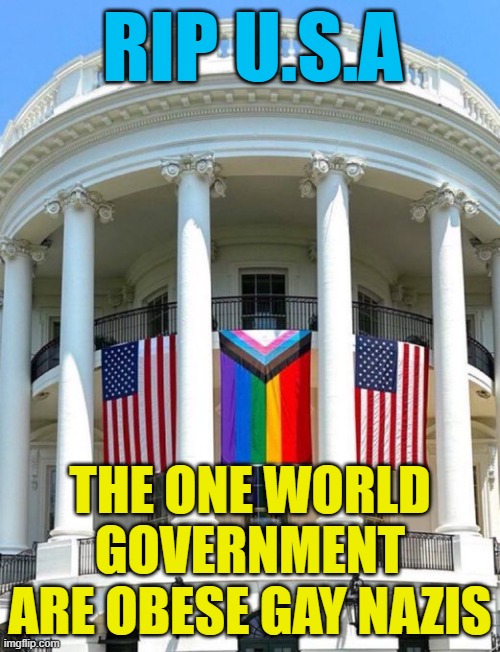 Safe and Effective Downfall | RIP U.S.A; THE ONE WORLD GOVERNMENT ARE OBESE GAY NAZIS | made w/ Imgflip meme maker