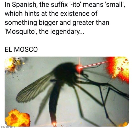El Mosco | image tagged in el mosco | made w/ Imgflip meme maker
