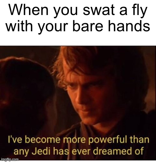 I've become more powerful-Star Wars  | When you swat a fly
with your bare hands | image tagged in i've become more powerful-star wars | made w/ Imgflip meme maker