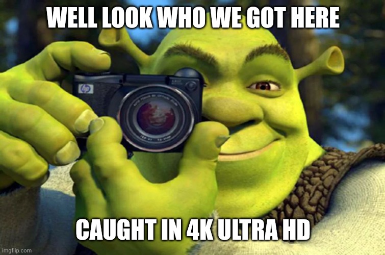 What you lookin at? | WELL LOOK WHO WE GOT HERE; CAUGHT IN 4K ULTRA HD | image tagged in caught in 4k | made w/ Imgflip meme maker