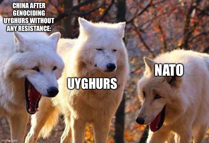 ? | CHINA AFTER GENOCIDING UYGHURS WITHOUT ANY RESISTANCE:; NATO; UYGHURS | image tagged in laughing wolf | made w/ Imgflip meme maker