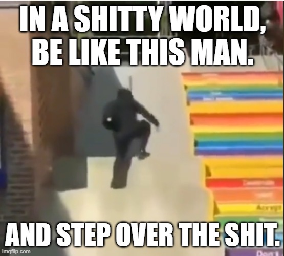Be like this man | IN A SHITTY WORLD, BE LIKE THIS MAN. AND STEP OVER THE SHIT. | image tagged in funny | made w/ Imgflip meme maker