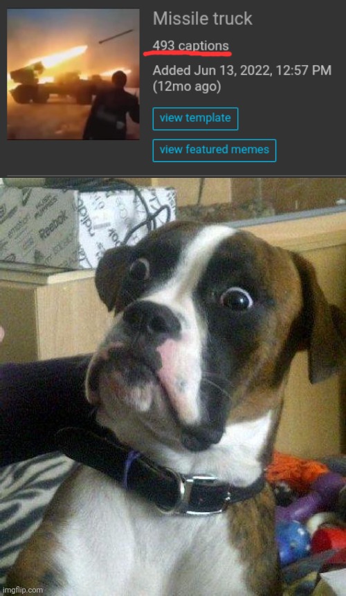 Almost 500... Wow | image tagged in surprised dog | made w/ Imgflip meme maker