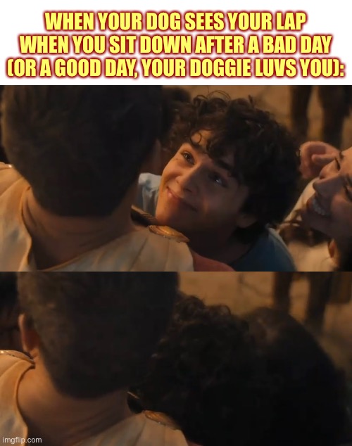 Man’s best friend…… | WHEN YOUR DOG SEES YOUR LAP WHEN YOU SIT DOWN AFTER A BAD DAY (OR A GOOD DAY, YOUR DOGGIE LUVS YOU): | image tagged in shazam,doggie,spoiler alert | made w/ Imgflip meme maker