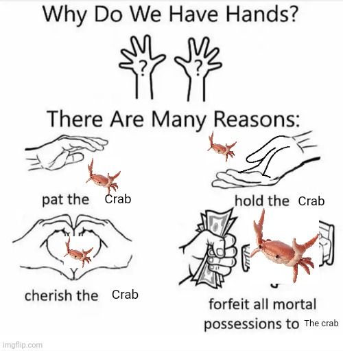 C r a b | Crab; Crab; Crab; The crab | image tagged in why do we have hands all blank,crab | made w/ Imgflip meme maker