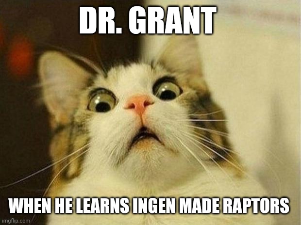 They made raptors | DR. GRANT; WHEN HE LEARNS INGEN MADE RAPTORS | image tagged in memes,scared cat | made w/ Imgflip meme maker