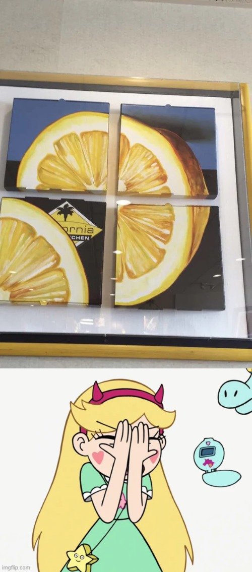 This is what lemons look like, right? | image tagged in star butterfly severe facepalm,you had one job,star vs the forces of evil,memes | made w/ Imgflip meme maker