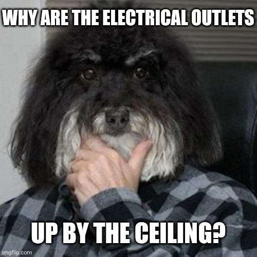 Thinking Dog | WHY ARE THE ELECTRICAL OUTLETS UP BY THE CEILING? | image tagged in thinking dog | made w/ Imgflip meme maker
