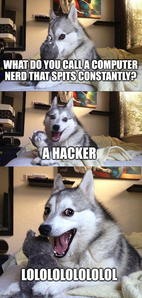 Hacker, lol | WHAT DO YOU CALL A COMPUTER NERD THAT SPITS CONSTANTLY? A HACKER; LOLOLOLOLOLOLOL | image tagged in memes,bad pun dog | made w/ Imgflip meme maker
