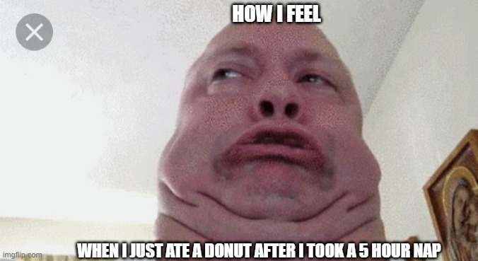 How I feel | HOW I FEEL; WHEN I JUST ATE A DONUT AFTER I TOOK A 5 HOUR NAP | image tagged in funny | made w/ Imgflip meme maker