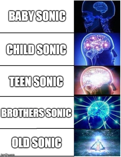 Expanding Brain 5 Panel | BABY SONIC; CHILD SONIC; TEEN SONIC; BROTHERS SONIC; OLD SONIC | image tagged in expanding brain 5 panel | made w/ Imgflip meme maker
