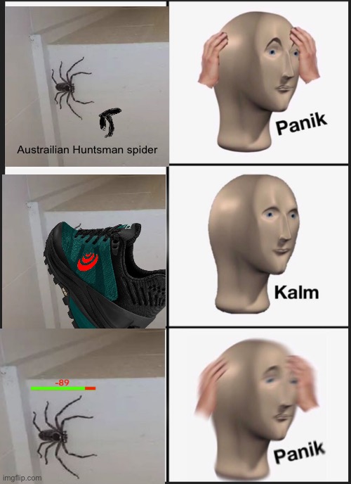 Panik Kalm Panik | Austrailian Huntsman spider | image tagged in memes,panik kalm panik | made w/ Imgflip meme maker