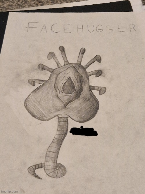Do you like my Facehugger drawing? | image tagged in alien,facehugger,drawing | made w/ Imgflip meme maker