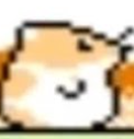 the hampster from kirbys dreamland 2 Blank Meme Template