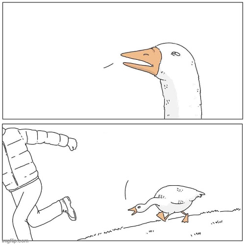 Goose Chase Blank Meme Template