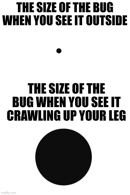 Bug size is very relative.... | THE SIZE OF THE BUG WHEN YOU SEE IT OUTSIDE; THE SIZE OF THE BUG WHEN YOU SEE IT CRAWLING UP YOUR LEG | image tagged in bugs,observe,different,relatable,dad joke | made w/ Imgflip meme maker