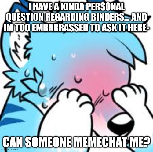 i really need help on this... | I HAVE A KINDA PERSONAL QUESTION REGARDING BINDERS... AND IM TOO EMBARRASSED TO ASK IT HERE-; CAN SOMEONE MEMECHAT ME? | image tagged in blushing furry embarrassed | made w/ Imgflip meme maker