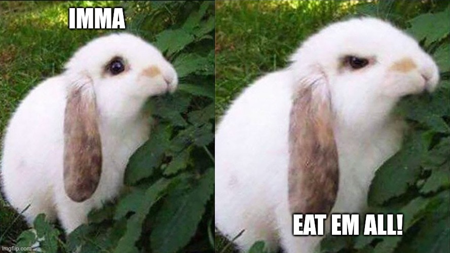 Bunny Biting Leaf | IMMA EAT EM ALL! | image tagged in bunny biting leaf | made w/ Imgflip meme maker