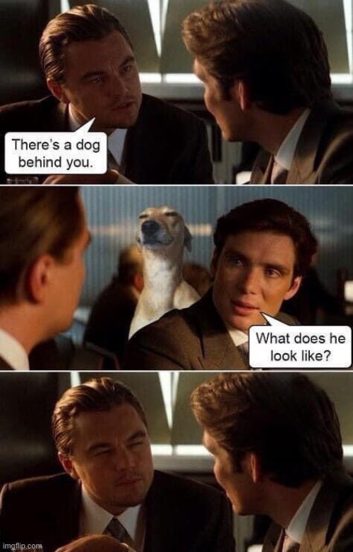 image tagged in memes | made w/ Imgflip meme maker