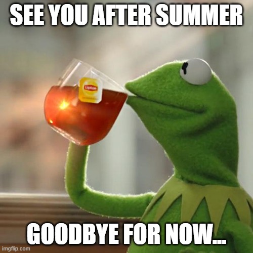 Summer | SEE YOU AFTER SUMMER; GOODBYE FOR NOW... | image tagged in memes,but that's none of my business,kermit the frog | made w/ Imgflip meme maker