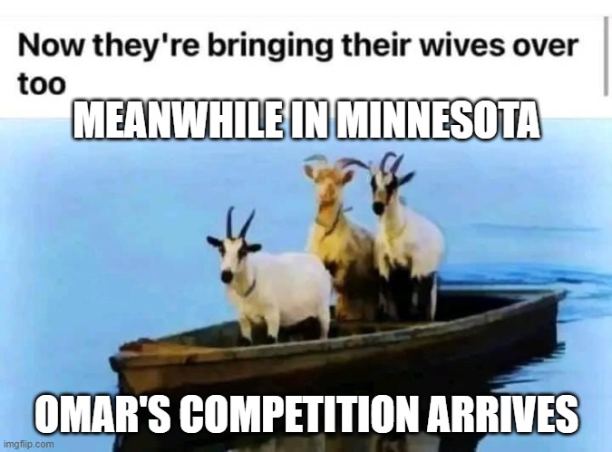Meanwhile in Minnesota | MEANWHILE IN MINNESOTA; OMAR'S COMPETITION ARRIVES | image tagged in meanwhile in minnesota | made w/ Imgflip meme maker