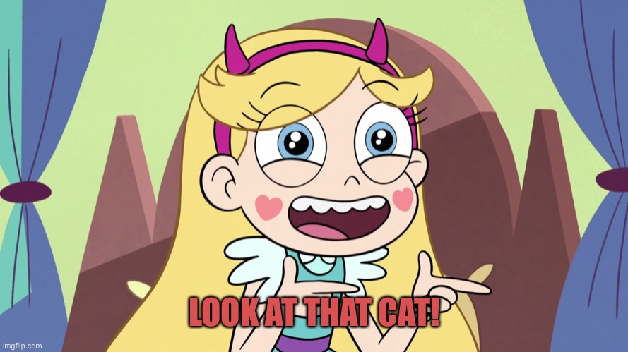 Star Butterfly Excited | LOOK AT THAT CAT! | image tagged in star butterfly excited | made w/ Imgflip meme maker
