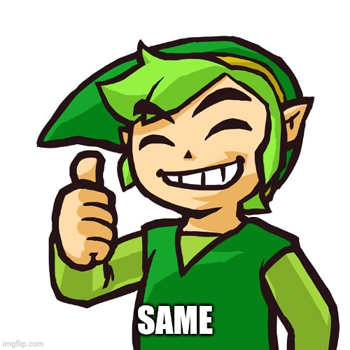 Happy Link | SAME | image tagged in happy link | made w/ Imgflip meme maker