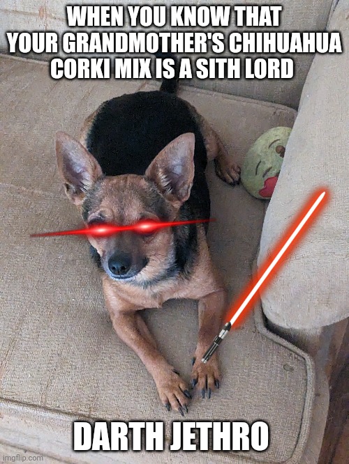 Darth Jethro | WHEN YOU KNOW THAT YOUR GRANDMOTHER'S CHIHUAHUA CORKI MIX IS A SITH LORD; DARTH JETHRO | image tagged in sith,dogs,memes | made w/ Imgflip meme maker