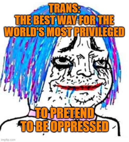 Trans are the most privileged category of people in the world | TRANS:
THE BEST WAY FOR THE WORLD'S MOST PRIVILEGED; TO PRETEND TO BE OPPRESSED | image tagged in trans wojak,trans,privilege | made w/ Imgflip meme maker