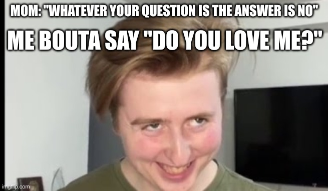 THE FACE | MOM: "WHATEVER YOUR QUESTION IS THE ANSWER IS NO"; ME BOUTA SAY "DO YOU LOVE ME?" | image tagged in the face | made w/ Imgflip meme maker