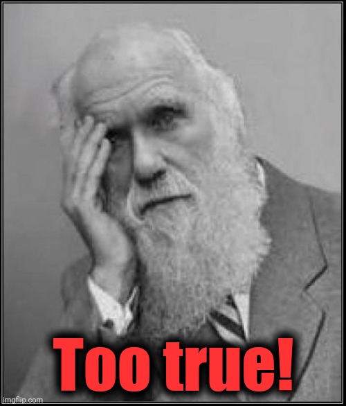 darwin facepalm | Too true! | image tagged in darwin facepalm | made w/ Imgflip meme maker