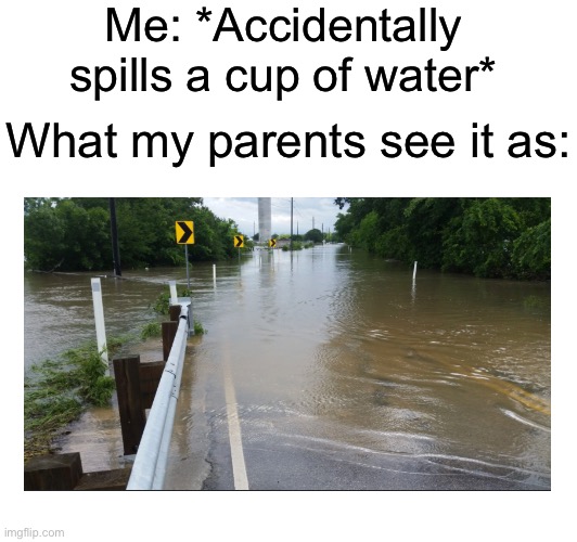 Just a little bit of water | Me: *Accidentally spills a cup of water*; What my parents see it as: | image tagged in memes,so true,so true memes | made w/ Imgflip meme maker